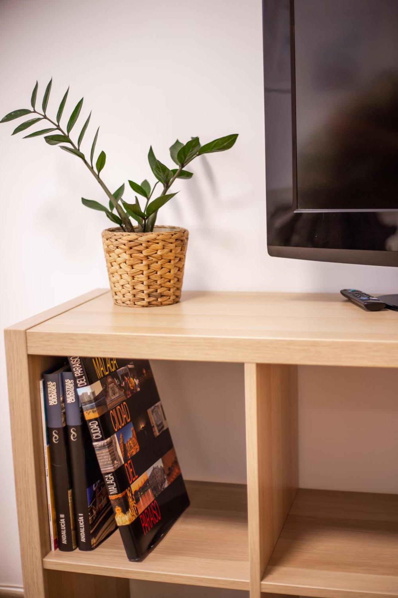 Apartamiento Con Naranjas Malaga