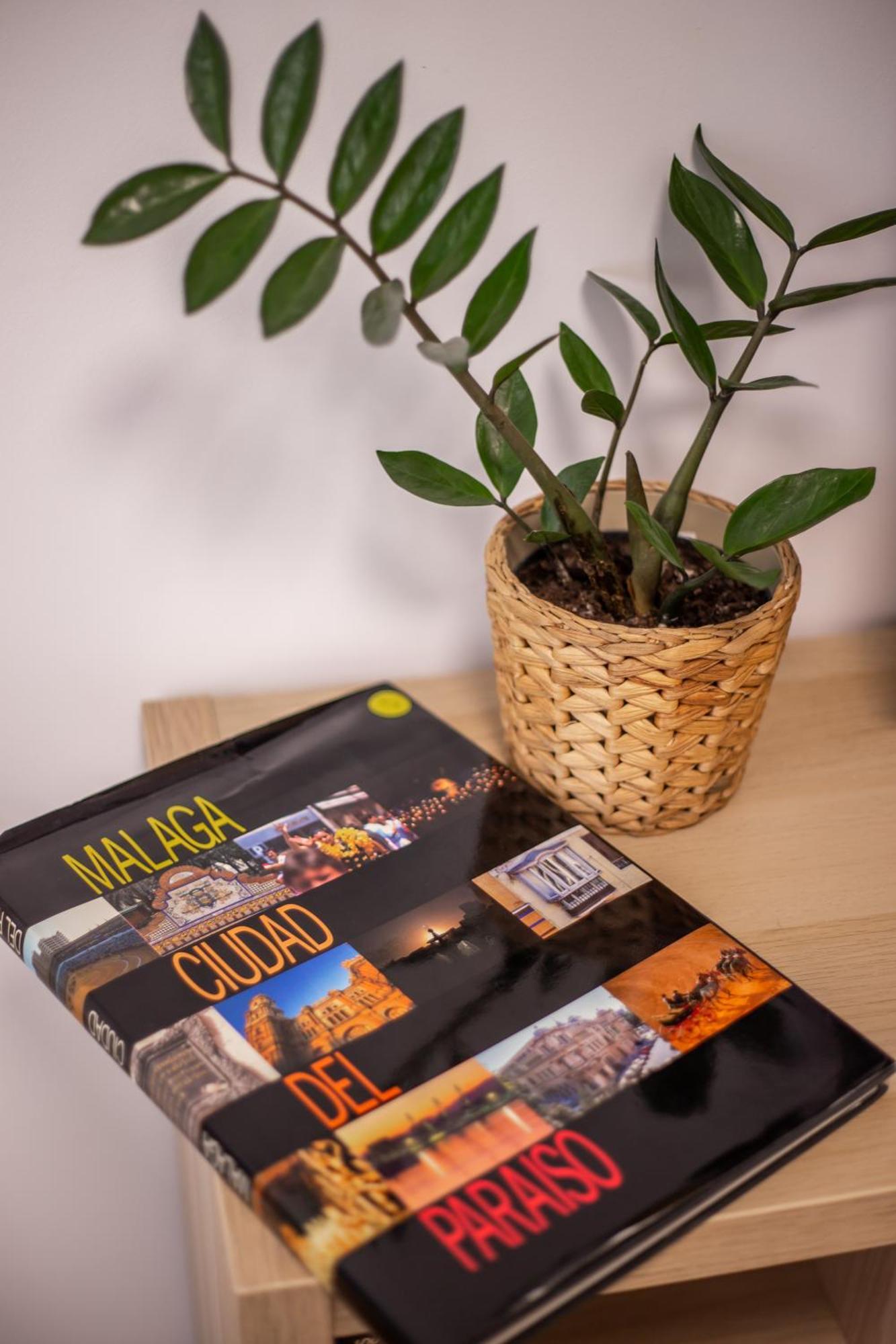 Apartamiento Con Naranjas
